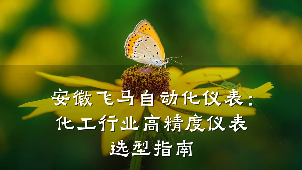 安徽飞马自动化仪表:化工行业高精度仪表选型指南