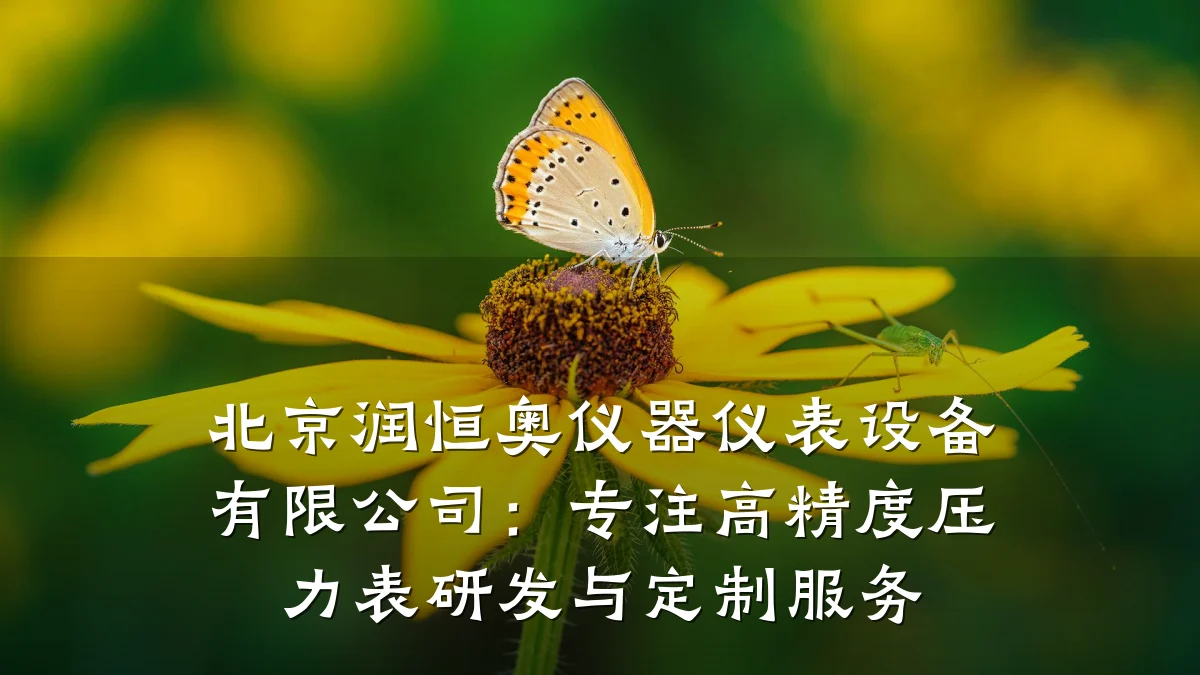 北京润恒奥仪器仪表设备有限公司:专注高精度压力表研发与定制服务