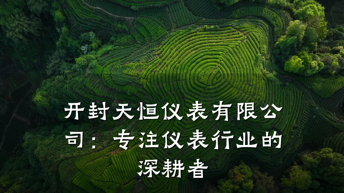 开封天恒仪表有限公司:专注仪表行业的深耕者
