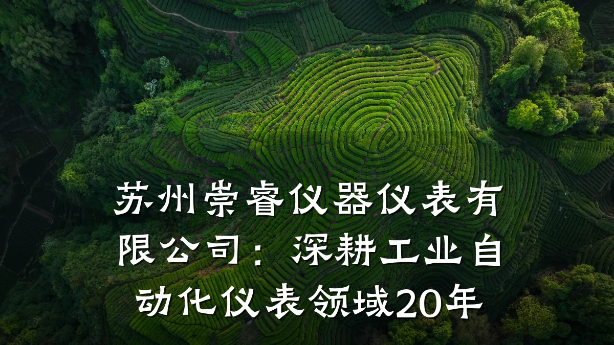 苏州崇睿仪器仪表有限公司:深耕工业自动化仪表领域20年